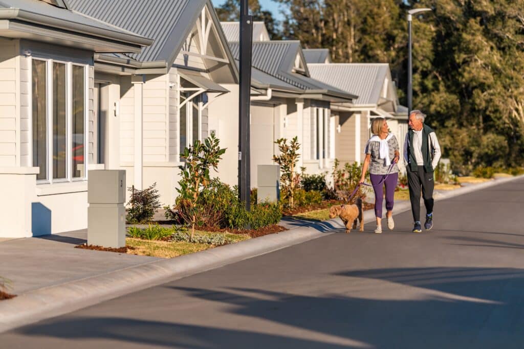 Walking dog in street -1050084_EDIT