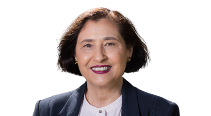 Photo of The Hon Lily D'Ambrosio MP, Parliament of Victoria.